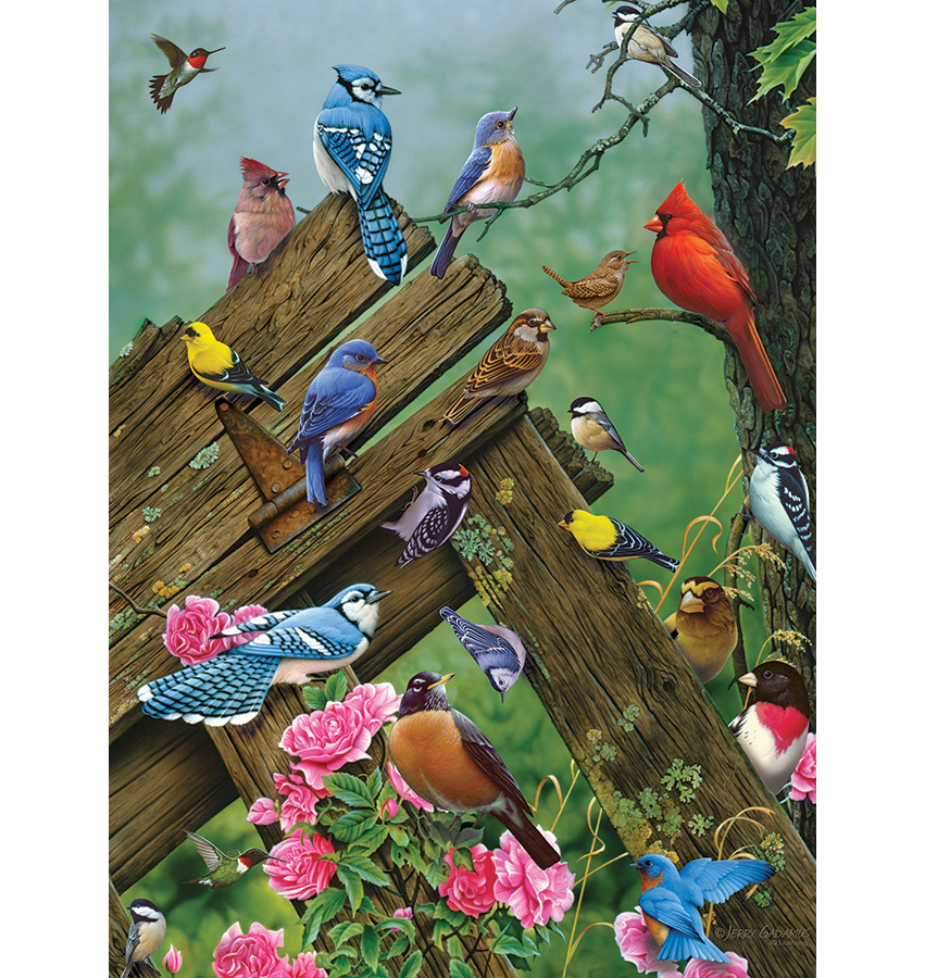 Birds of the Forest 1000 Piece Jigsaw Puzzle